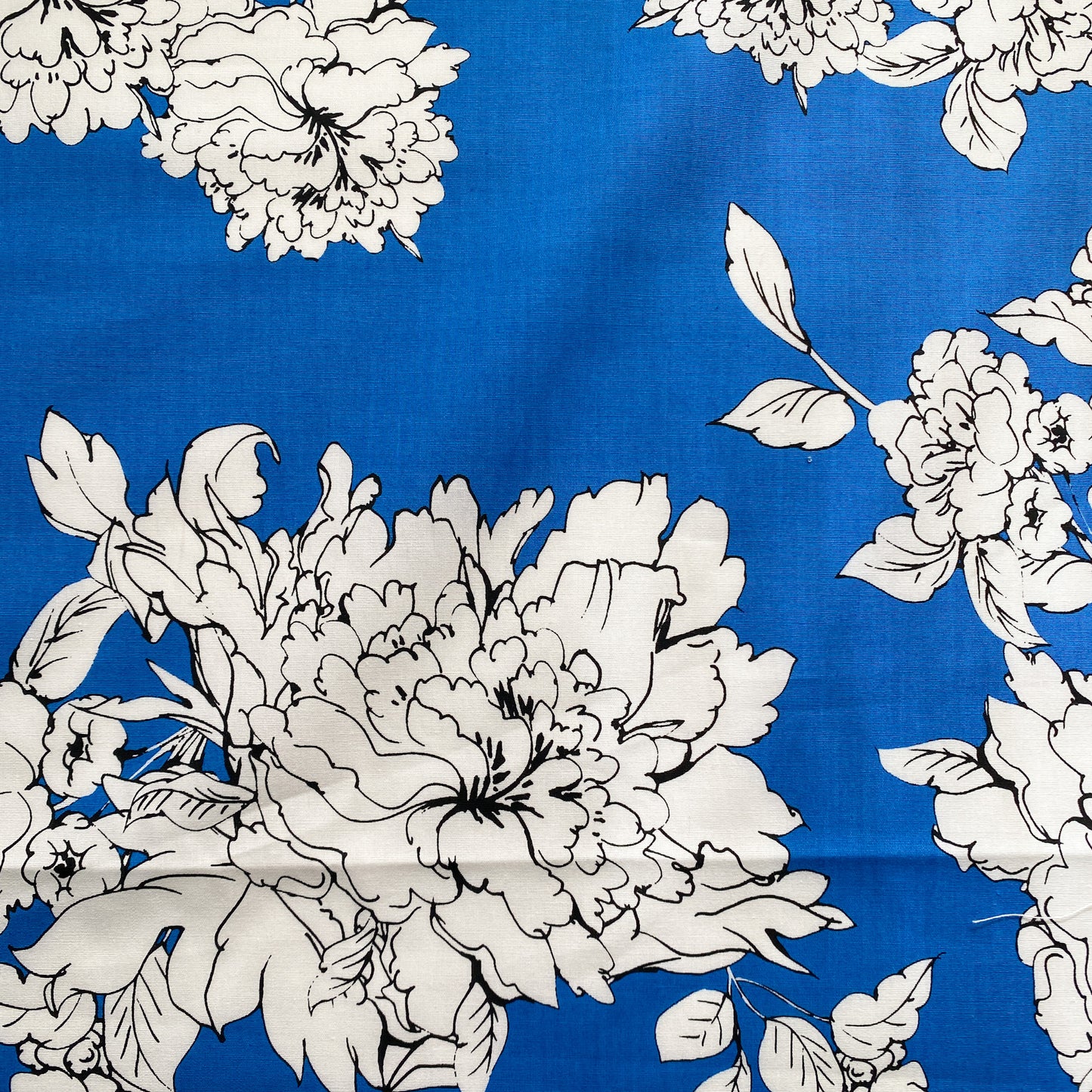 Designer Deadstock Fabric: Milly - Blue and White Floral